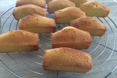 financiers