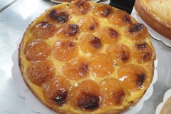 Tarte-creme-abricot